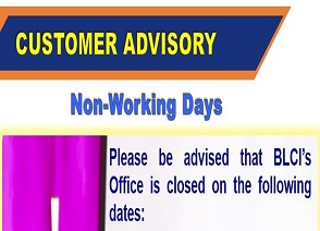 Non-Working Days